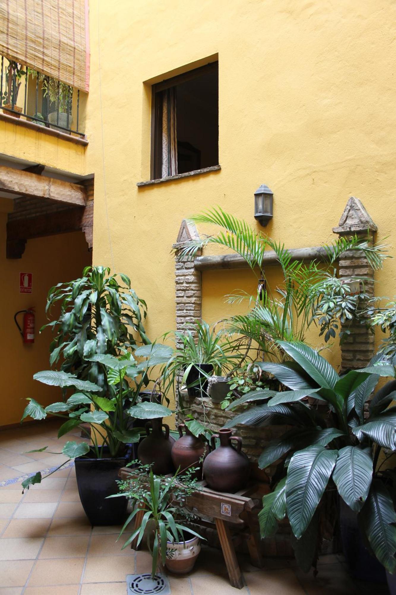 Hostal Lojo Кониль-де-ла-Фронтера Экстерьер фото