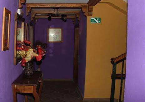 Hostal Lojo Кониль-де-ла-Фронтера Экстерьер фото